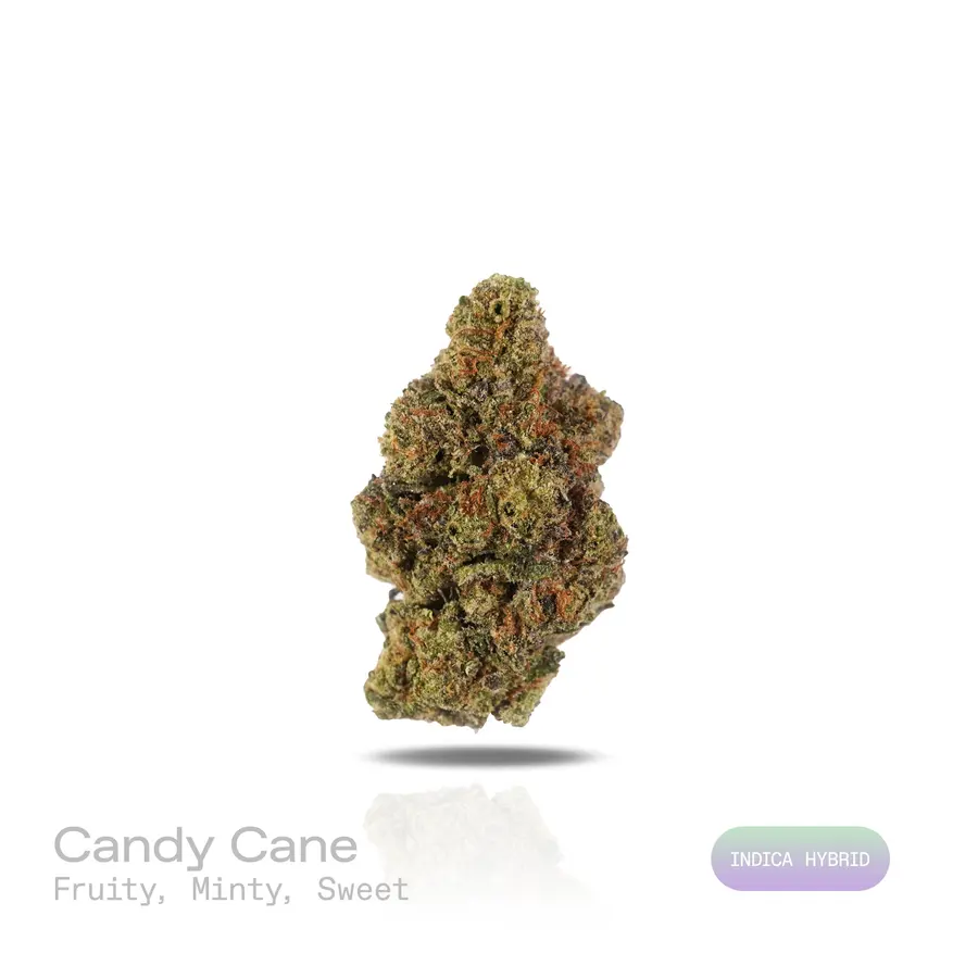 Candy Cane THCa Flower (Indoor) (Indica Hybrid)