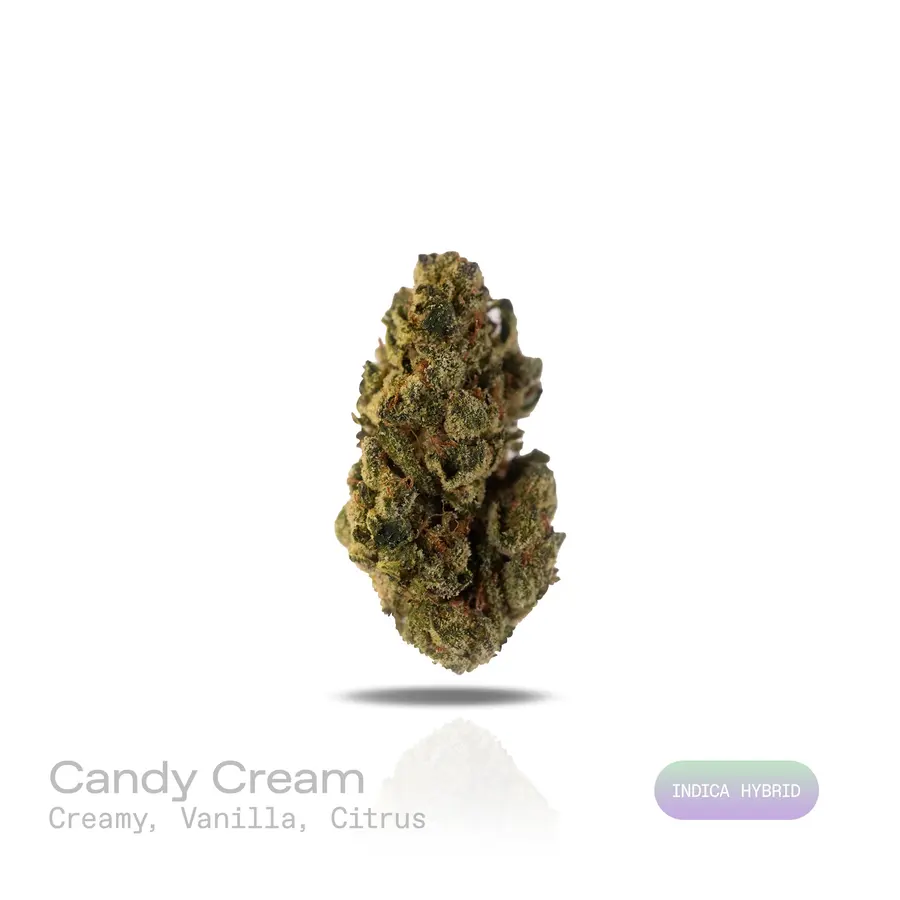 Candy Cream THCa Flower (Indoor) (Indica Hybrid)