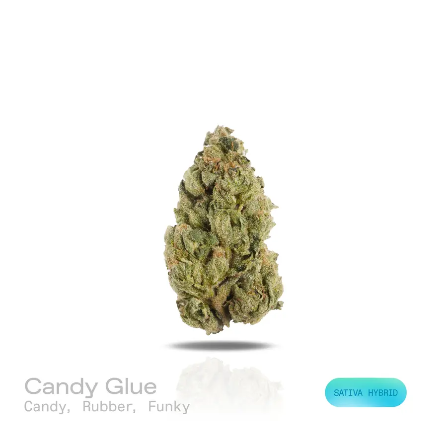 Candy Glue THCa Flower (Indoor) (Sativa Hybrid)