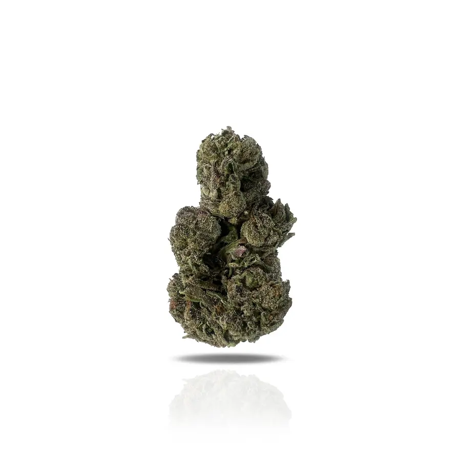 Candy Sherb THCa Flower (Indoor) (Hybrid)