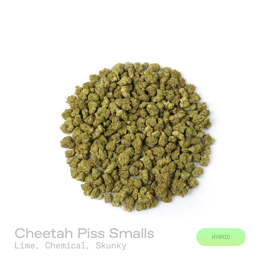 Cheetah Piss THCa Flower (Indoor) (Hybrid)