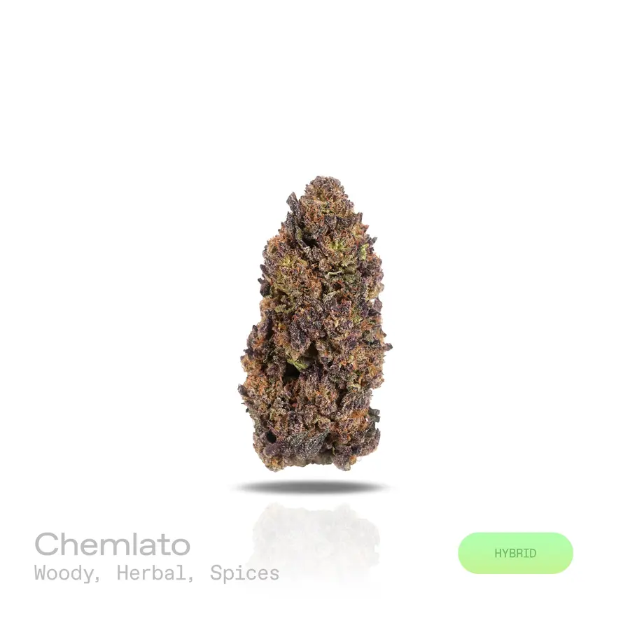 Chemlato THCa Flower (Indoor) (Hybrid)