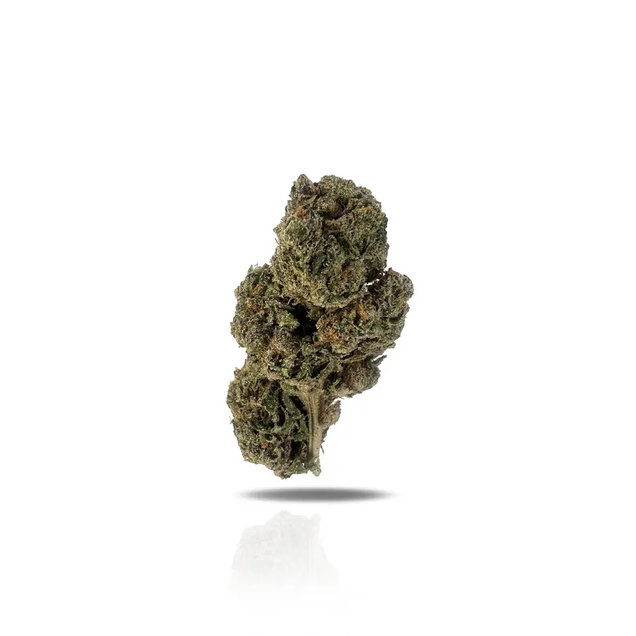 Cherry Bellini THCa Flower (Indoor) (Indica Hybrid)