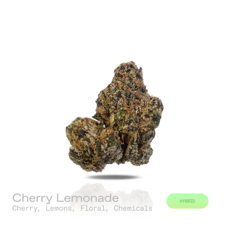 Cherry Lemonade THCa Flower (Exotic) (Hybrid)