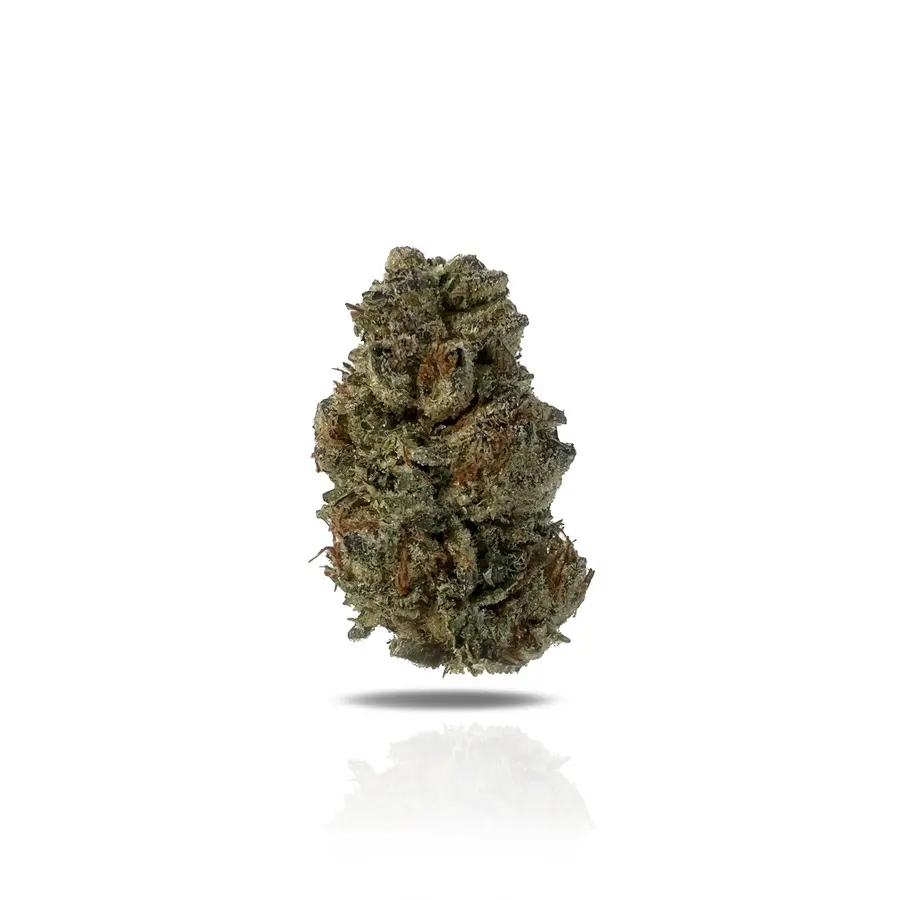 Cherry Lime Jack THCa Flower (Indoor) (Sativa Hybrid)