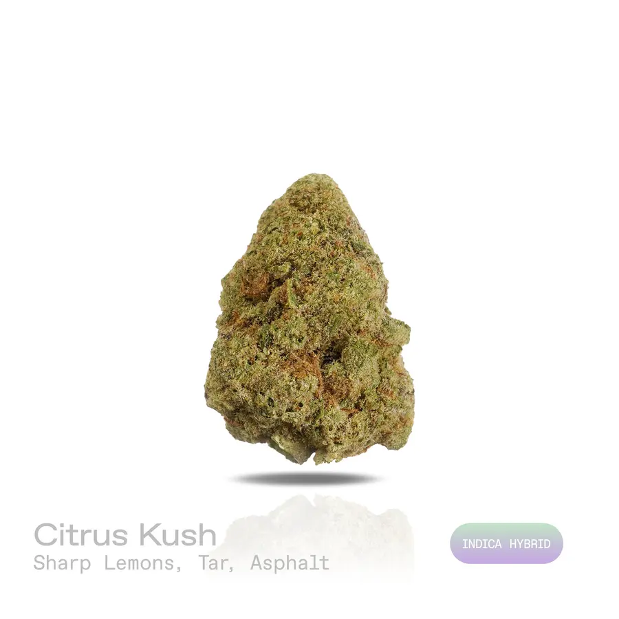 Citrus Kush THCa Flower (Indoor) (Indica Hybrid)