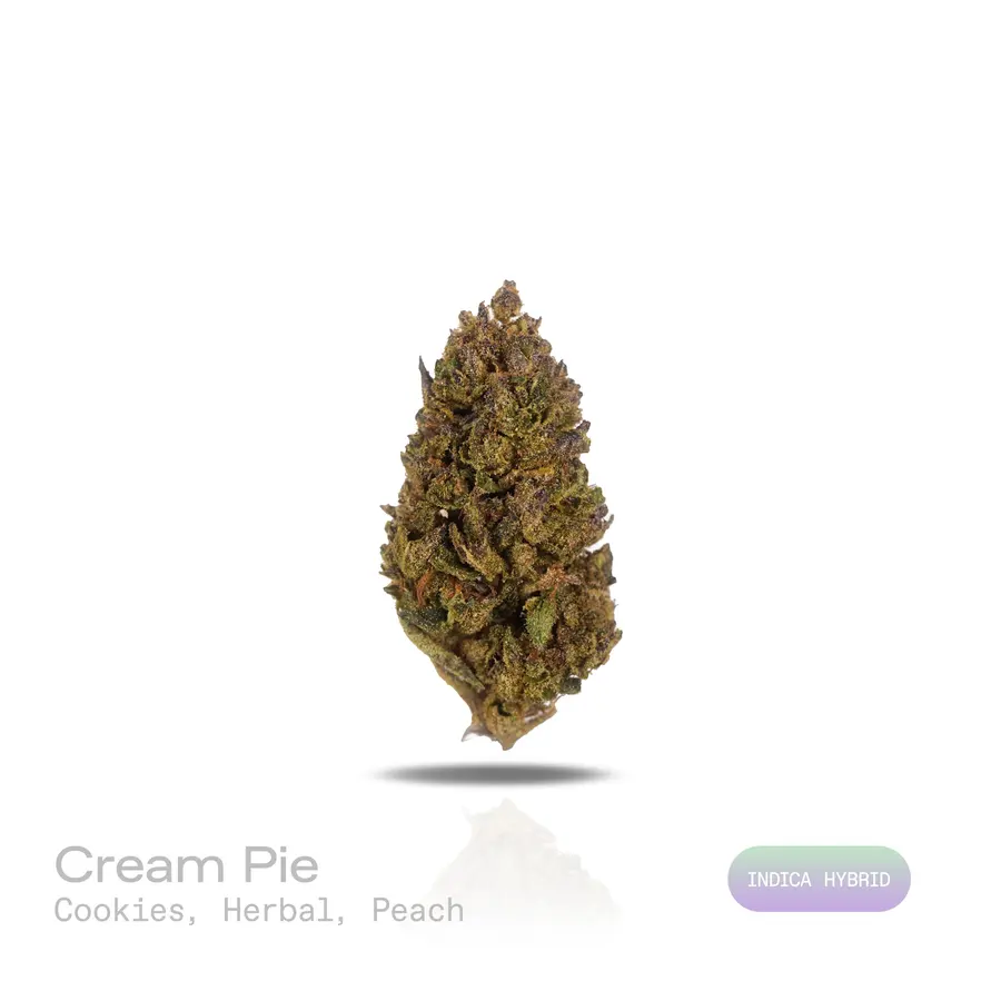 Cream Pie THCa Flower (Indoor) (Indica Hybrid)