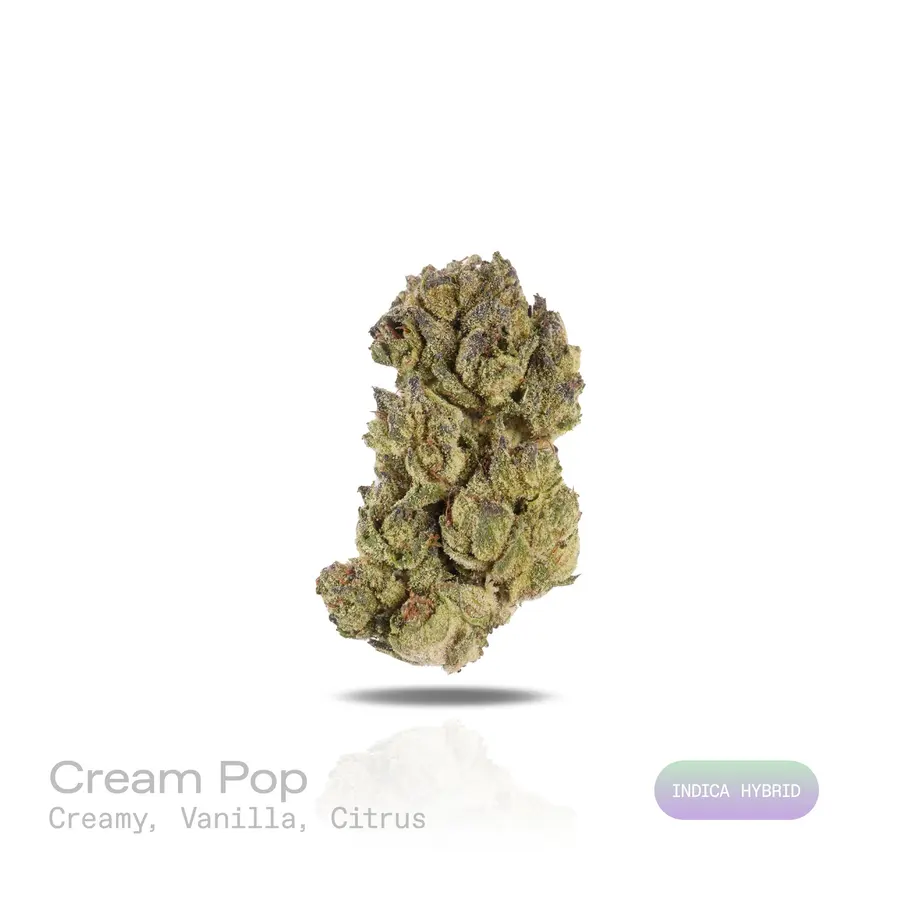 Cream Pop THCa Flower (Indoor) (Indica Hybrid)