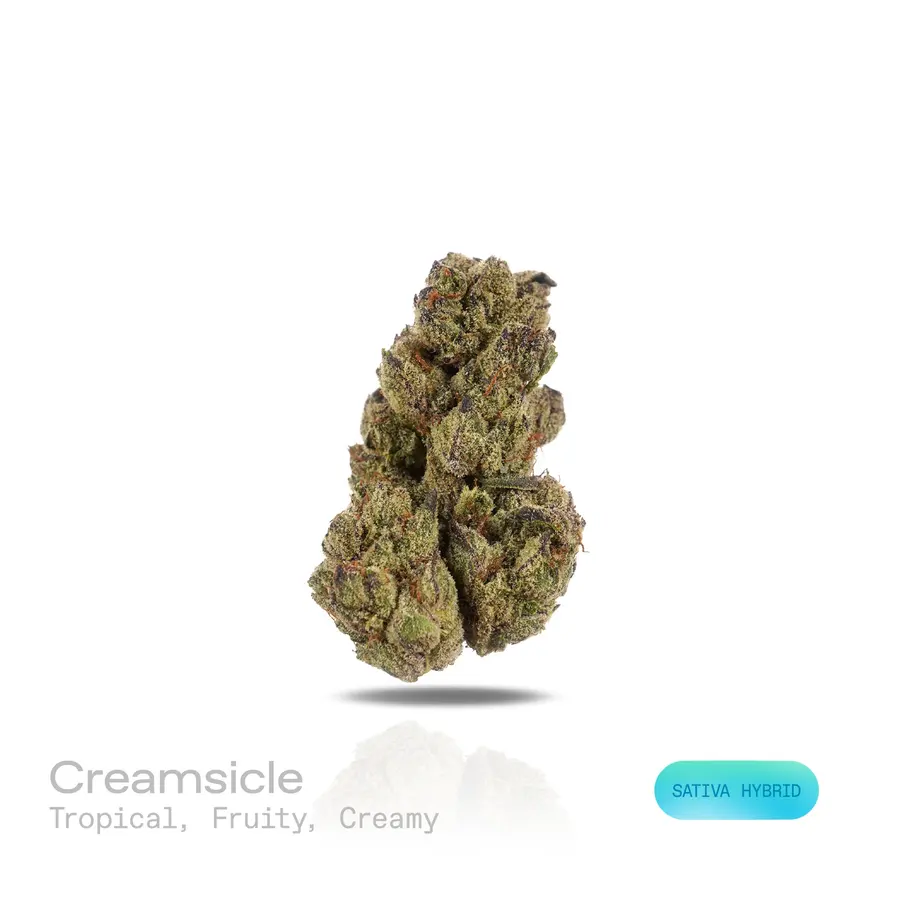 Creamsicle THCa Flower (Indoor) (Sativa Hybrid)