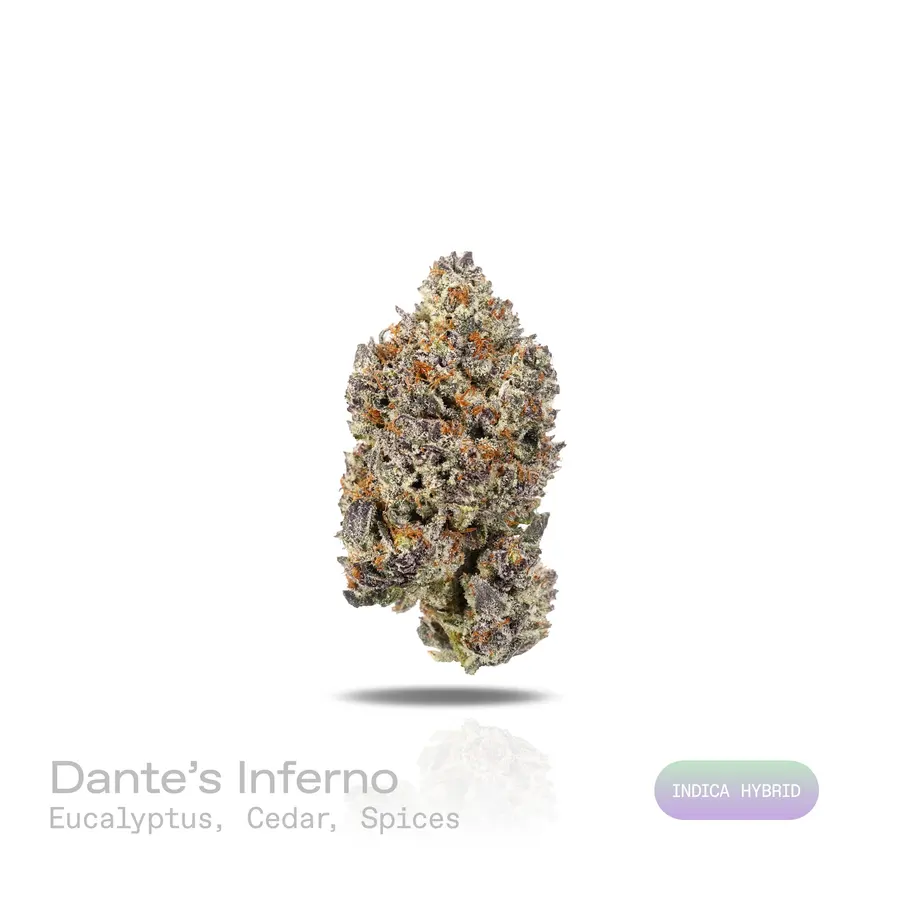 Dante's Inferno THCa Flower (Exotic) (Indica Hybrid)