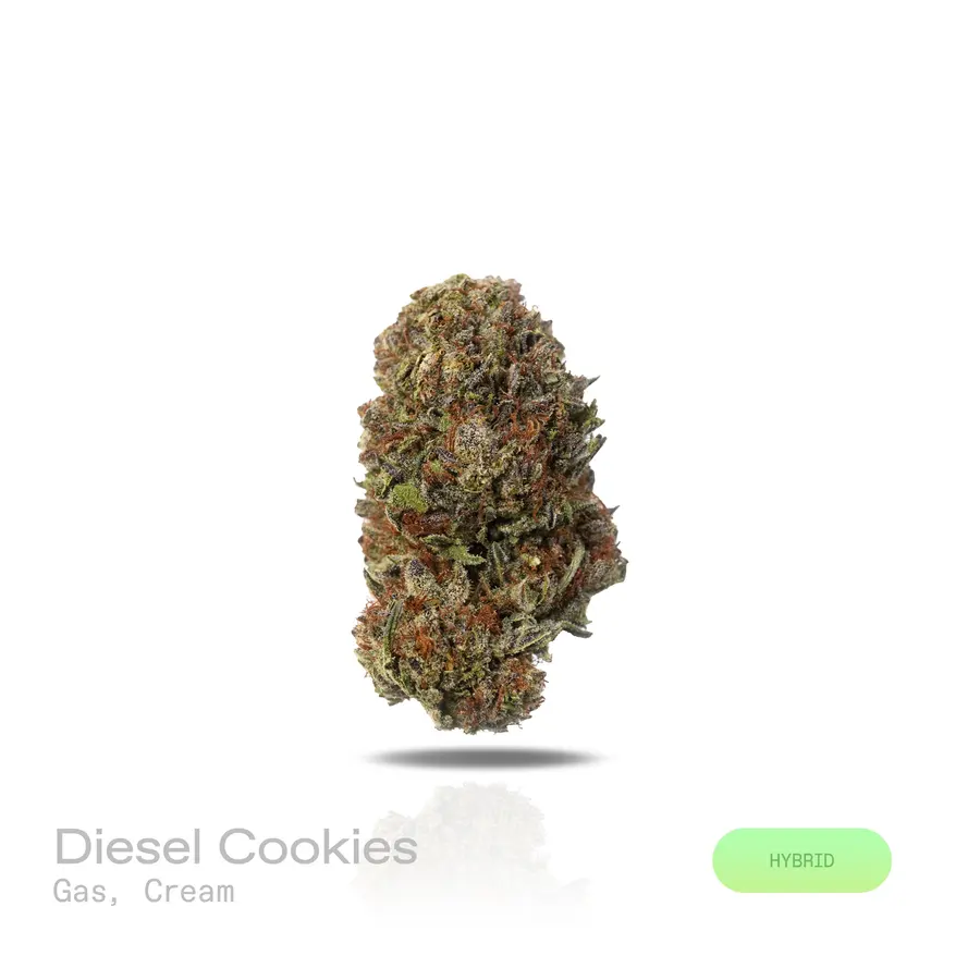 Diesel Cookies THCa Flower (Indoor) (Hybrid)