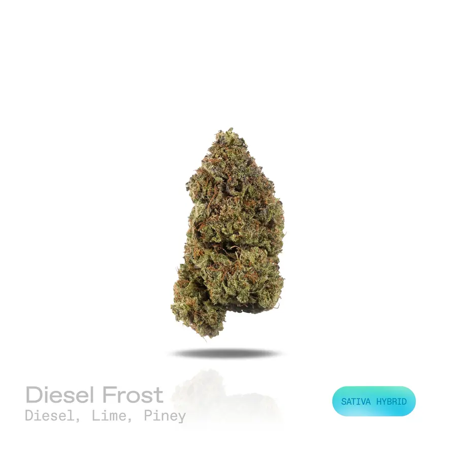 Diesel Frost THCa Flower (Indoor) (Sativa Hybrid)