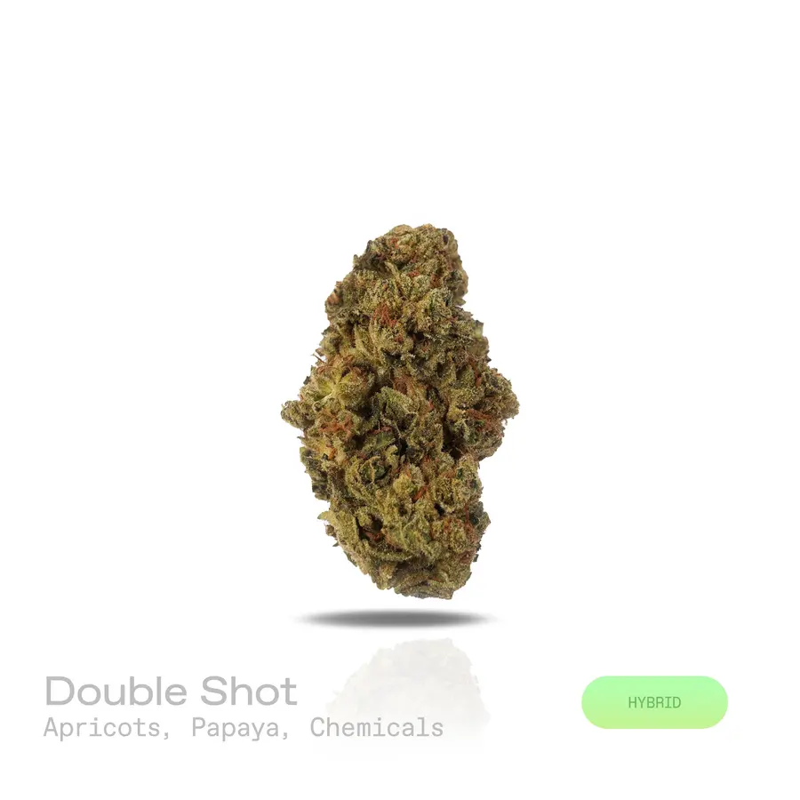 Double Shot THCa Flower (Indoor) (Hybrid)