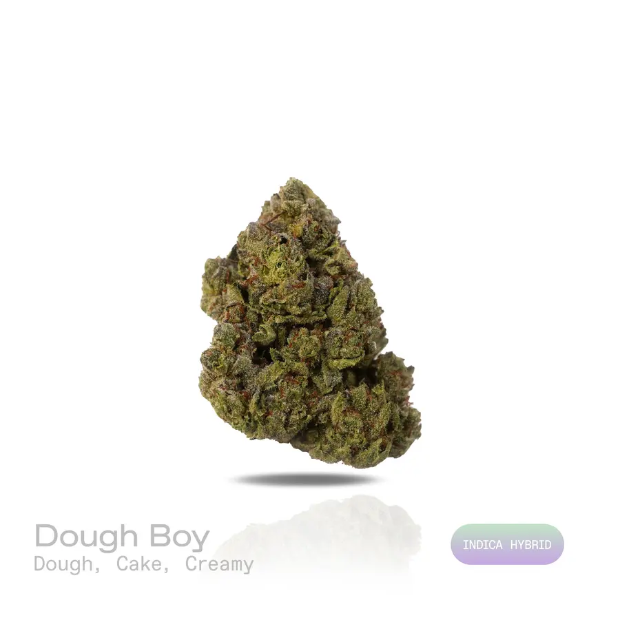 Dough Boy THCa Flower (Indoor) (Indica Hybrid)