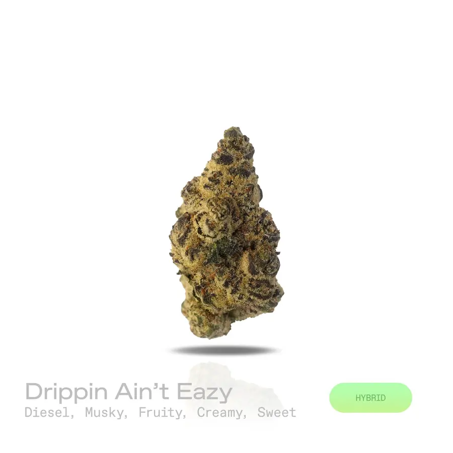 Drippin Aint Eazy THCa Flower (Exotic) (Hybrid)