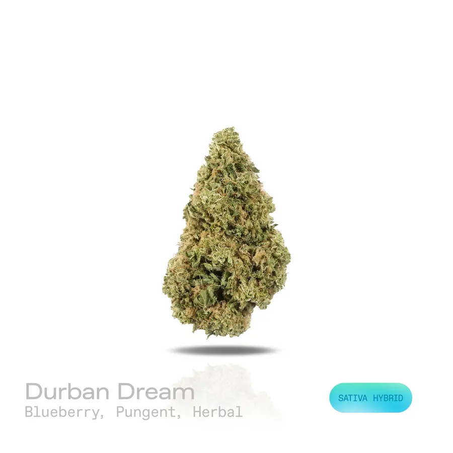Durban Dream THCa Flower (Indoor) (Sativa Hybrid)