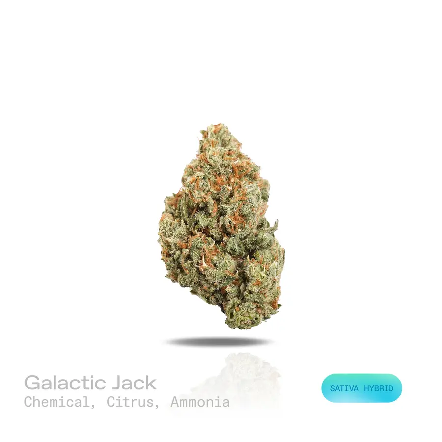 Galactic Jack THCa Flower (Exotic) (Sativa Hybrid)