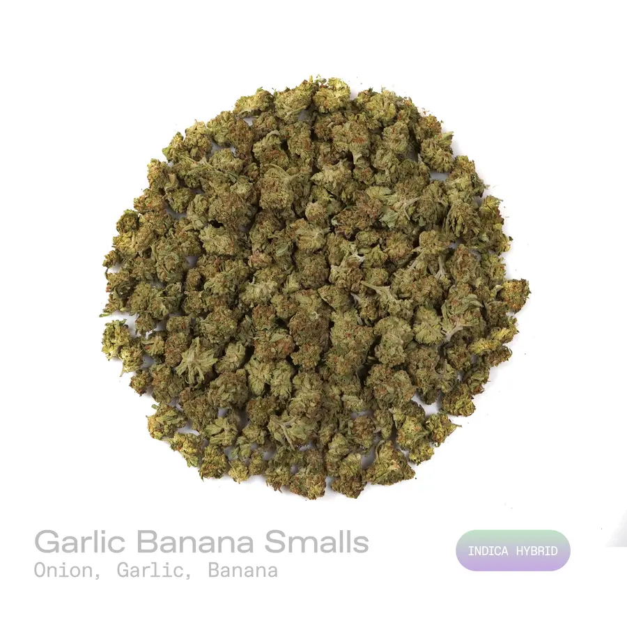 Garlic Banana THCa Flower (Indoor) (Indica Hybrid)