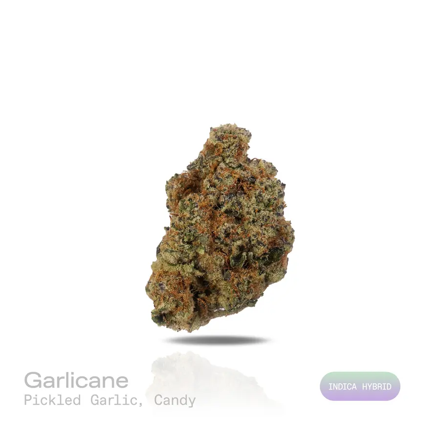 Garlicane THCa Flower (Exotic) (Indica Hybrid)