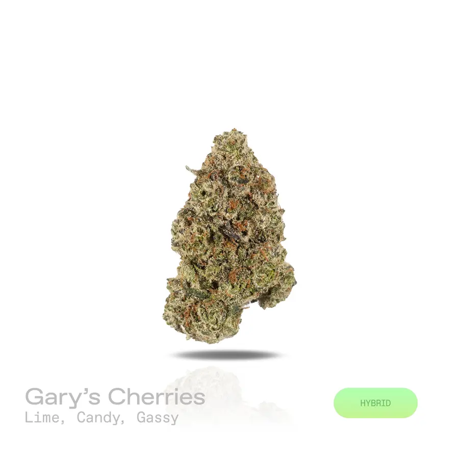 Gary's Cherries THCa Flower (Exotic) (Hybrid)