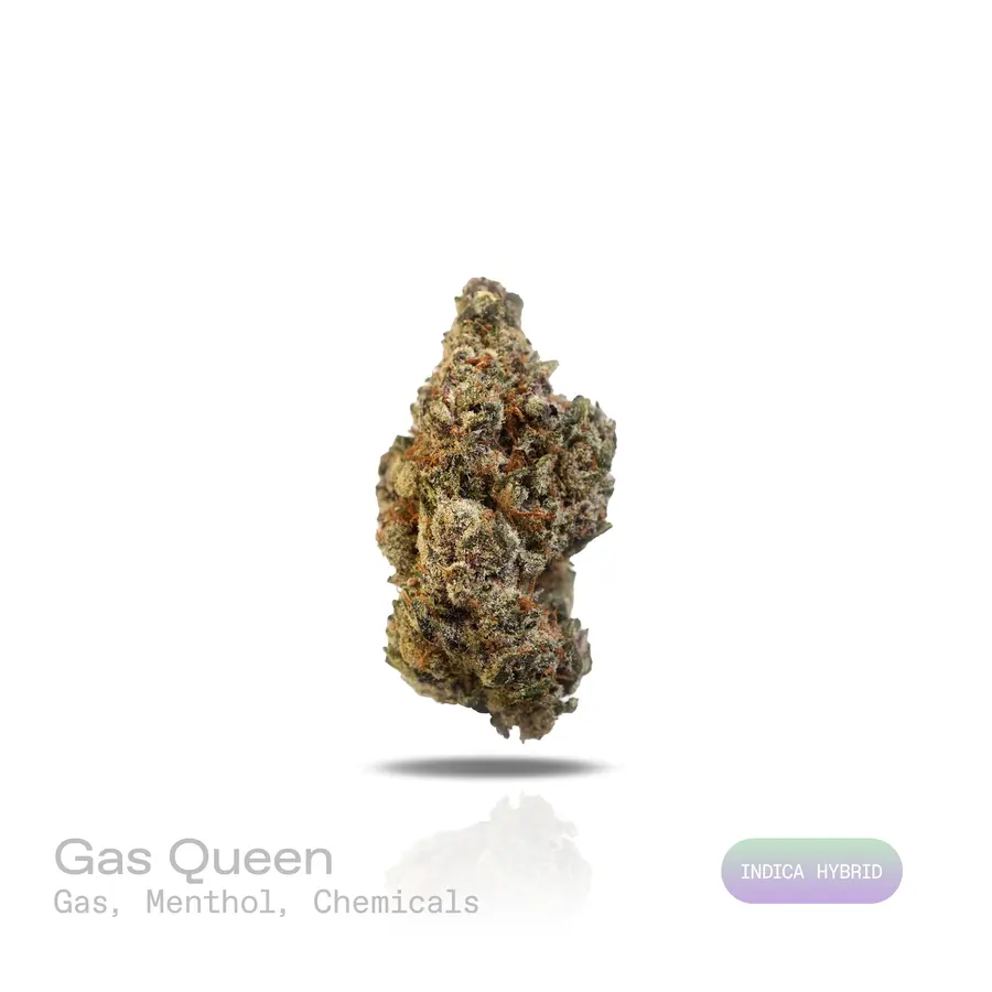 Gas Queen THCa Flower (Exotic) (Indica Hybrid)