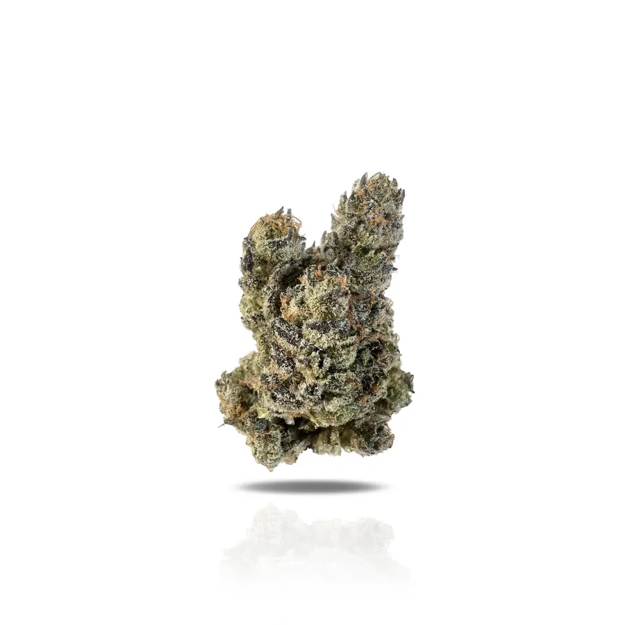 Gascotti THCa Flower (Exotic) (Indica Hybrid)