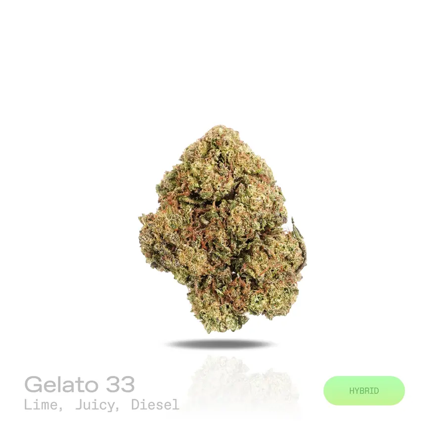 Gelato 33 THCa Flower (Indoor) (Hybrid)