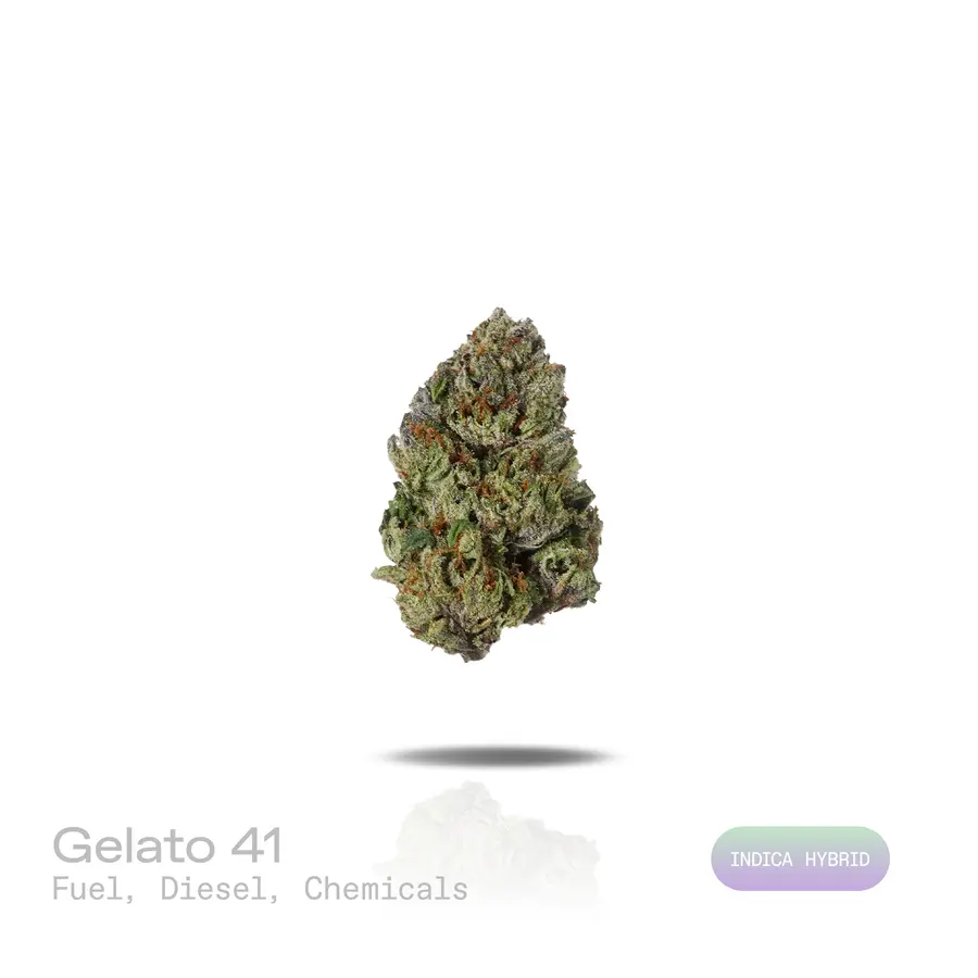 Gelato 41 THCa Flower (Indoor) (Indica Hybrid)