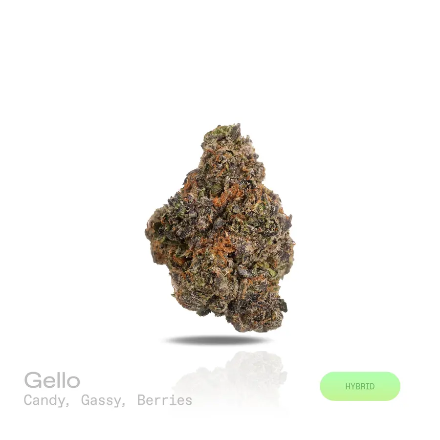 Gello THCa Flower (Exotic) (Hybrid)