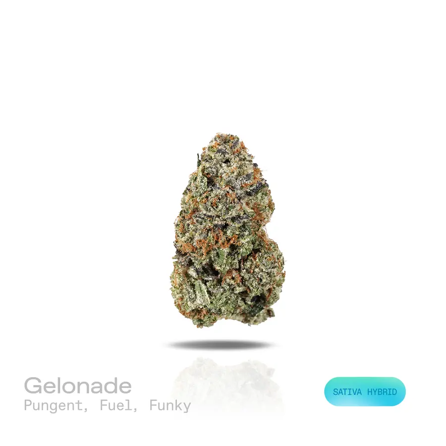 Gelonade THCa Flower (Exotic) (Sativa Hybrid)