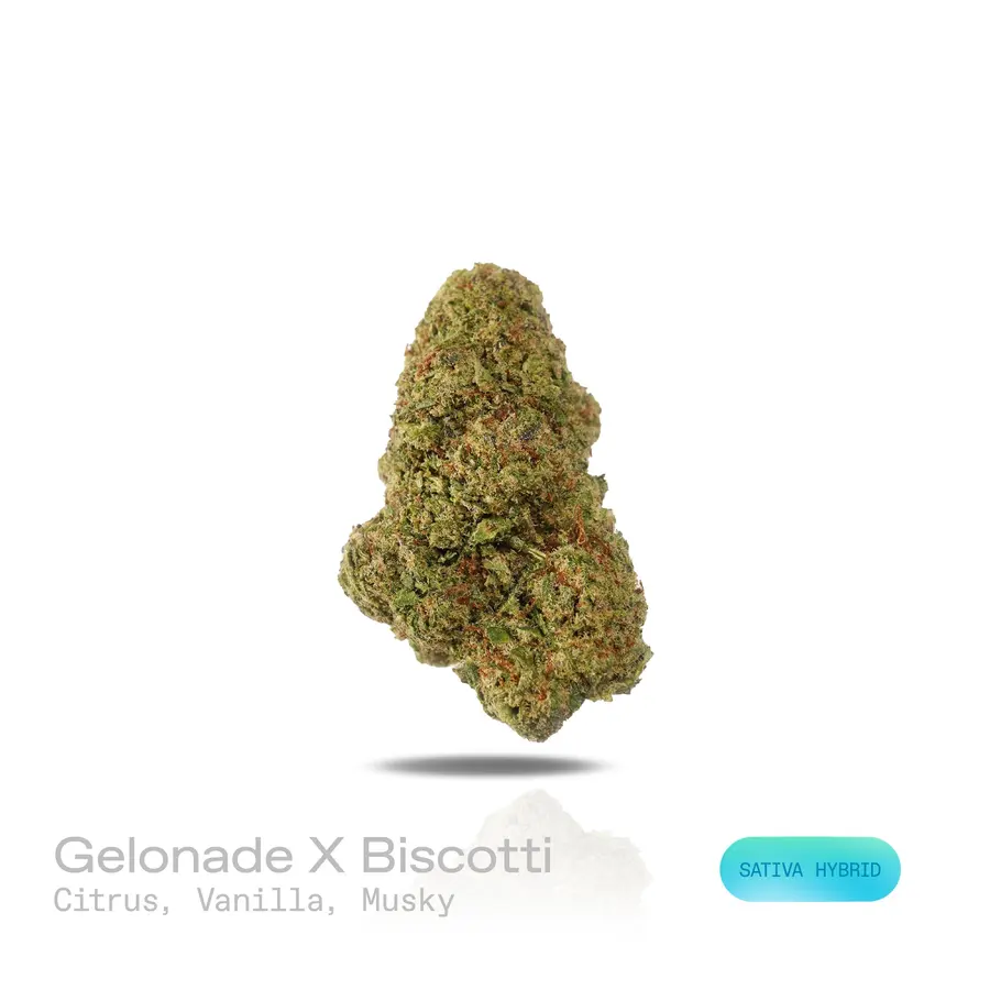 Gelonade X Biscotti THCa Flower (Indoor) (Sativa Hybrid)