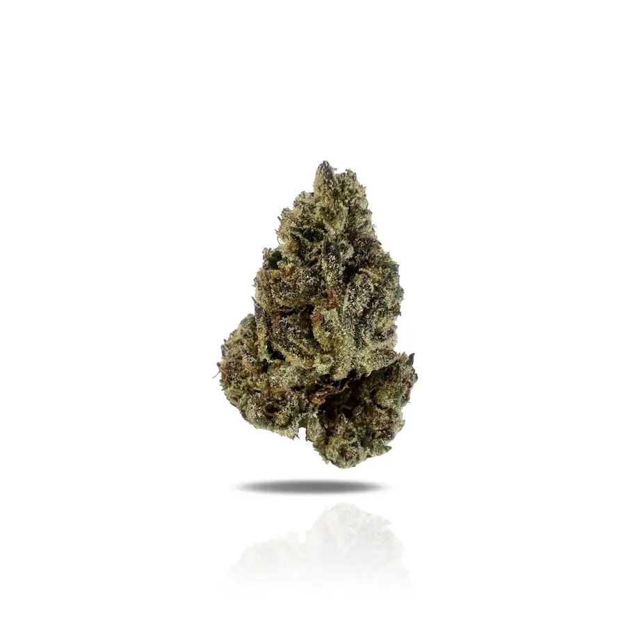 Georgia Pie THCa Flower (Indoor) (Hybrid)