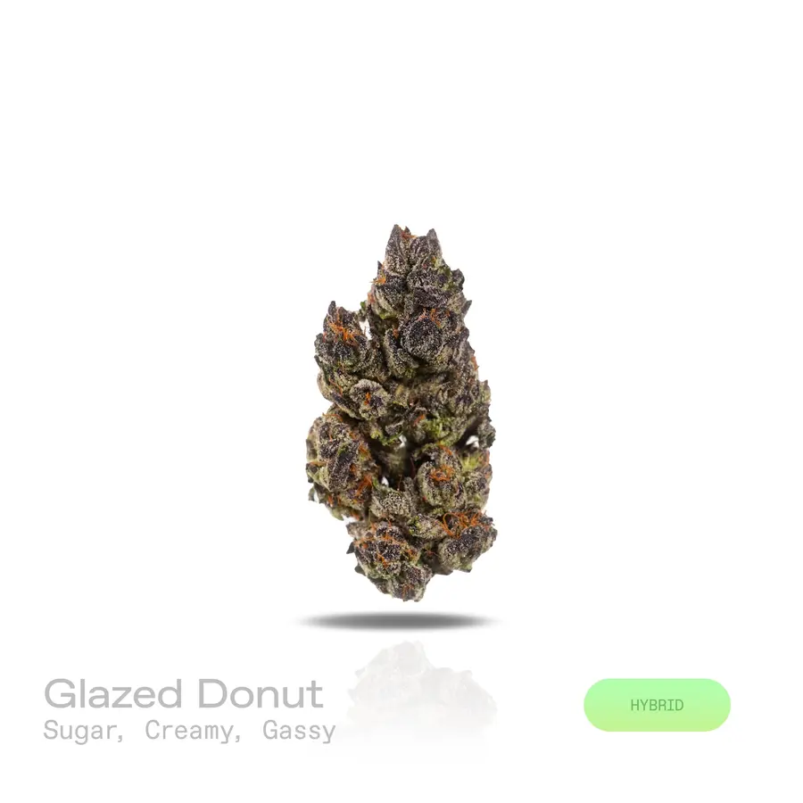 Glazed Donut THCa Flower (Indoor) (Hybrid)