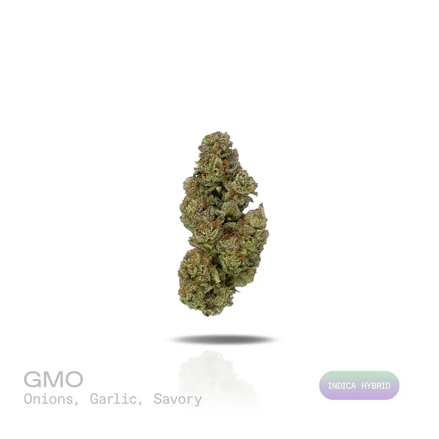 GMO THCa Flower (Indoor) (Indica Hybrid)