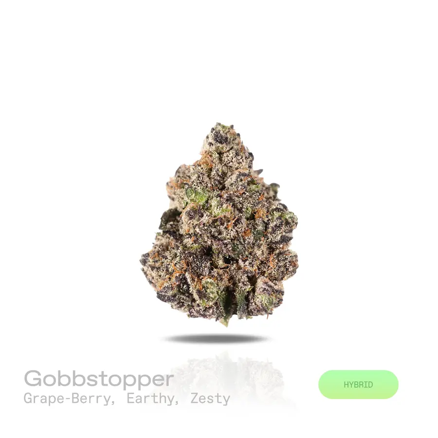 Gobbstopper THCa Flower (Exotic) (Hybrid)