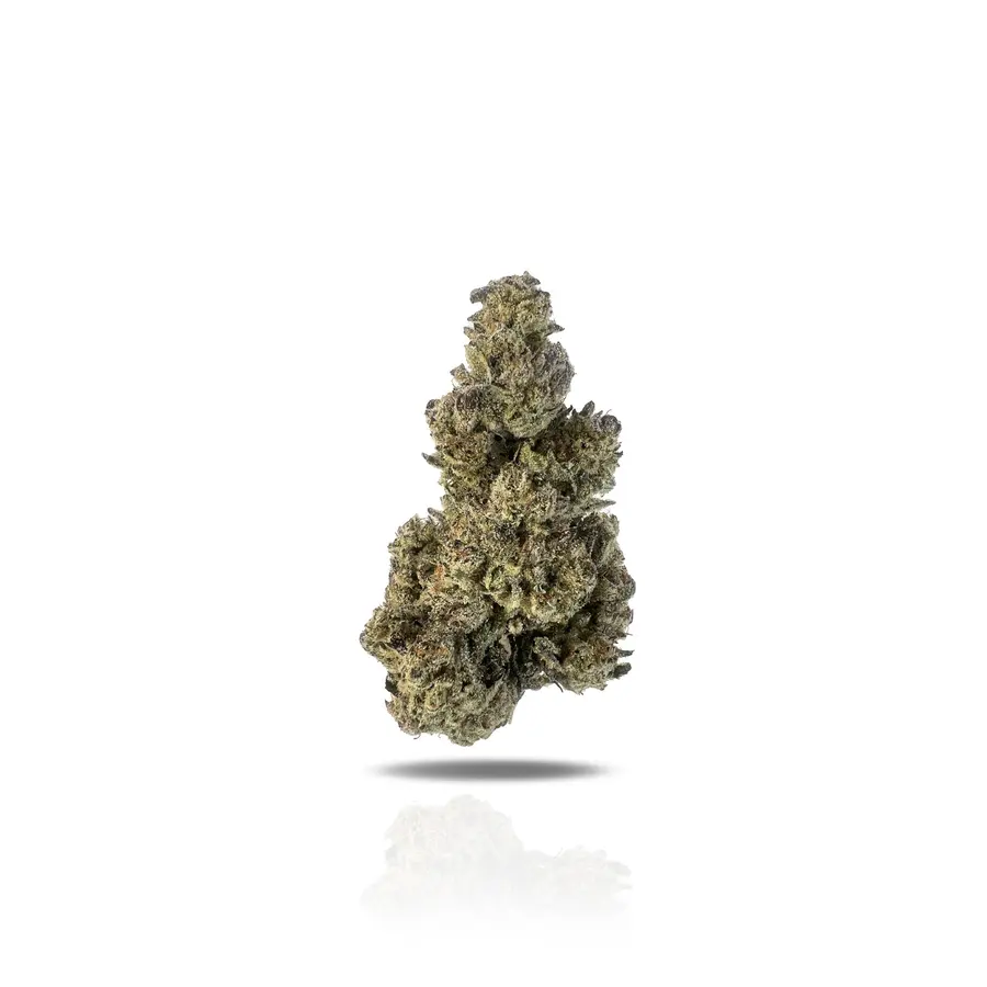 Gold Cash THCa Flower (Indoor) (Indica Hybrid)