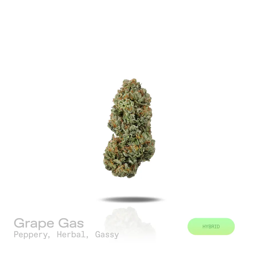 Grape Gas THCa Flower (Indoor) (Hybrid)