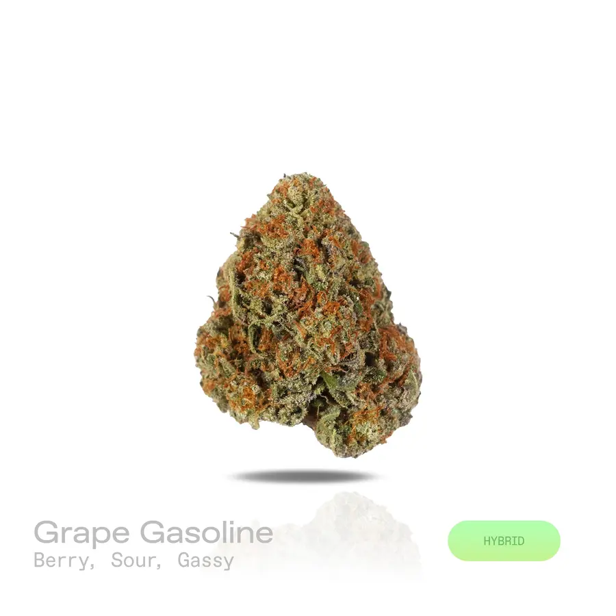 Grape Gasoline THCa Flower (Premium Indoor) (Hybrid)