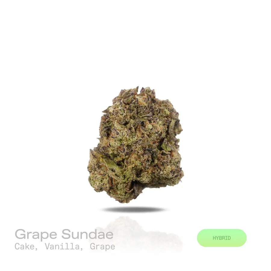 Grape Sundae THCa Flower (Indoor) (Hybrid)