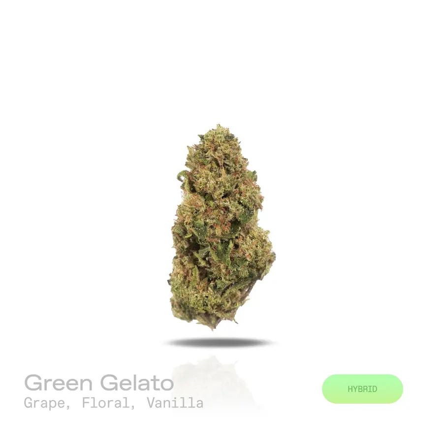 Green Gelato THCa Flower (Indoor) (Hybrid)