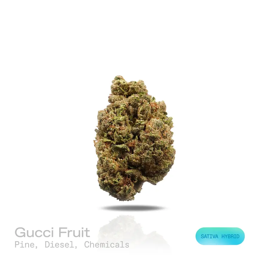 Gucci Fruit THCa Flower (Indoor) (Sativa Hybrid)