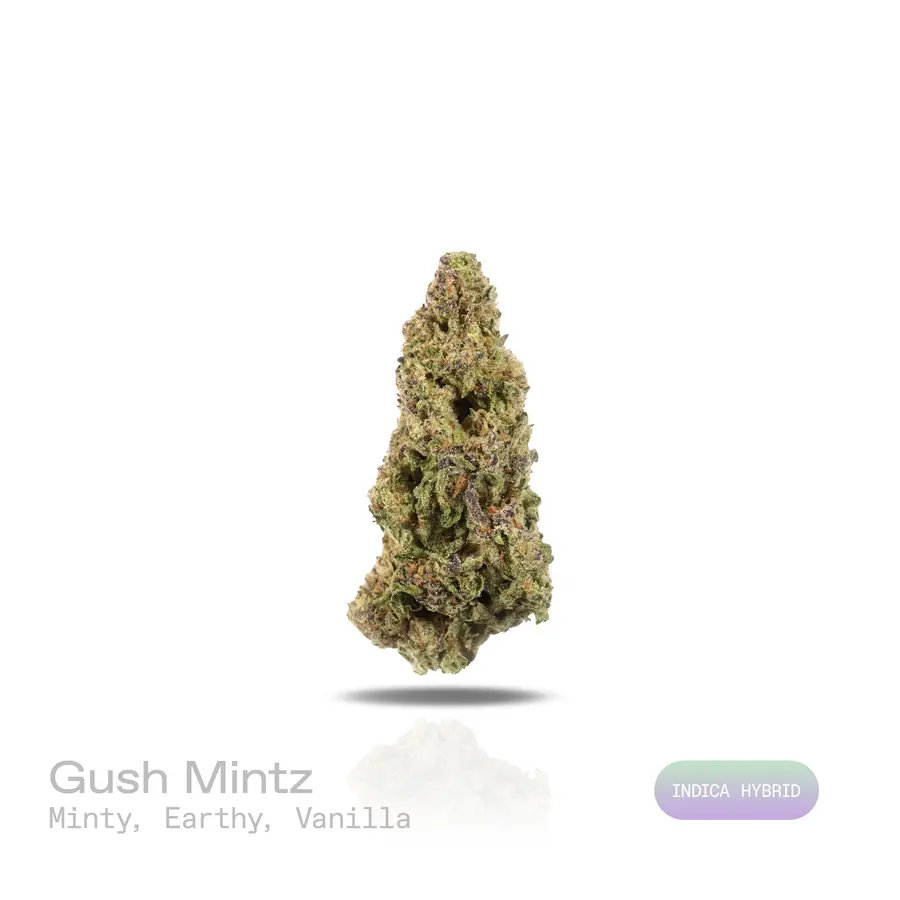 Gush Mintz THCa Flower (Indoor) (Indica Hybrid)