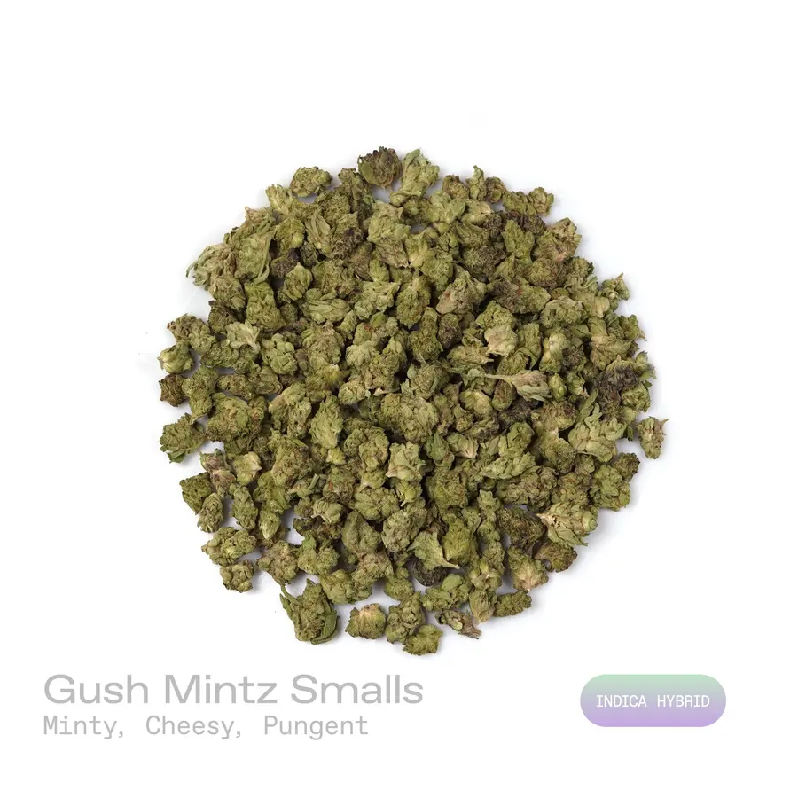 Gush Mintz THCa Flower (Indoor) (Indica Hybrid)