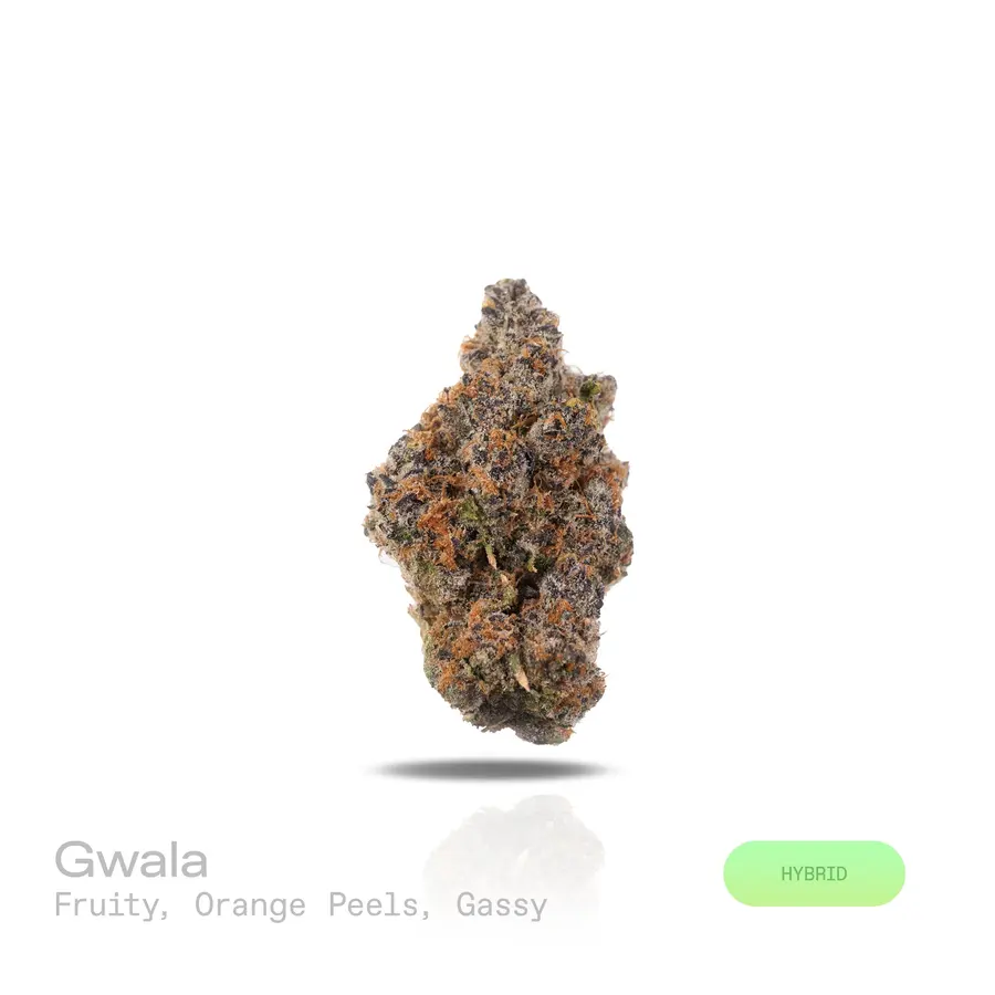Gwala THCa Flower (Exotic) (Hybrid)