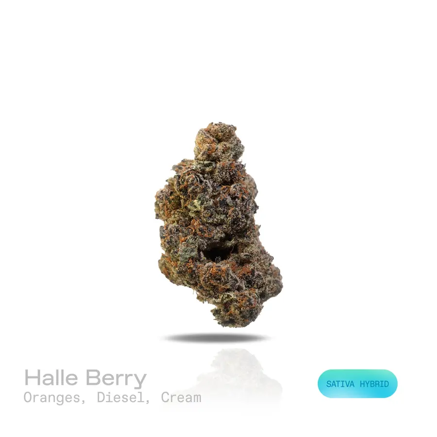 Halle Berry THCa Flower (Exotic) (Sativa Hybrid)