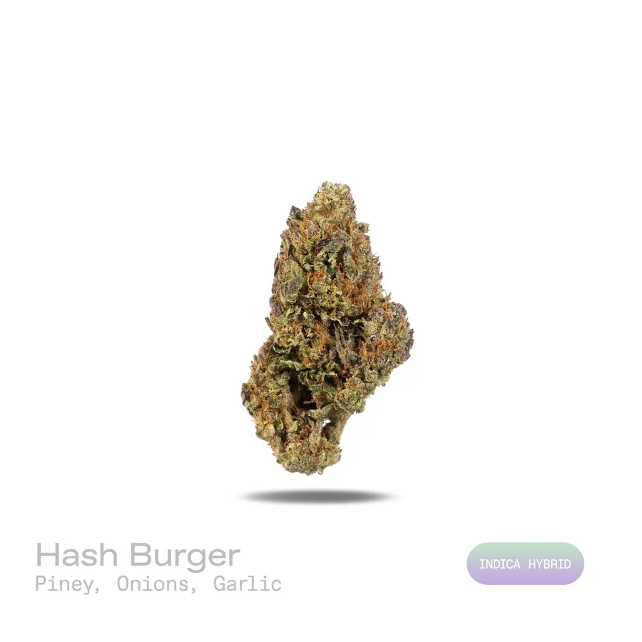 Hash Burger THCa Flower (Indoor) (Indica Hybrid)
