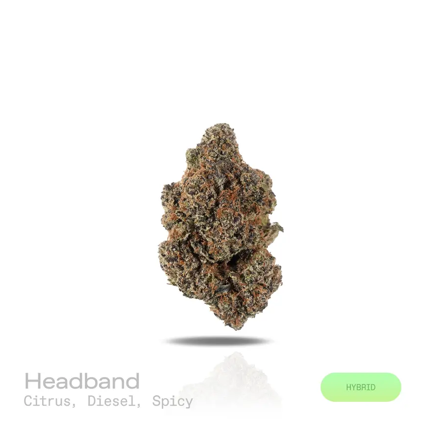 Headband THCa Flower (Exotic) (Hybrid)