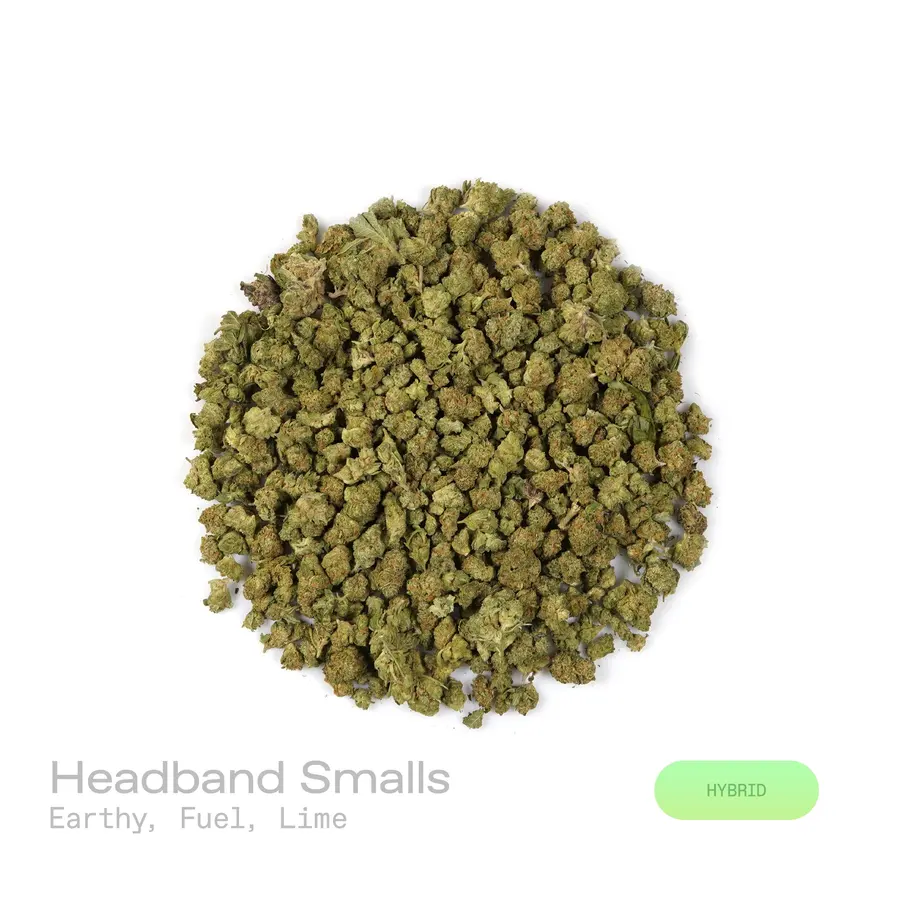 Headband THCa Flower (Indoor) (Hybrid)