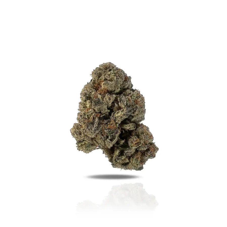 High Society THCa Flower (Premium Indoor) (Hybrid)