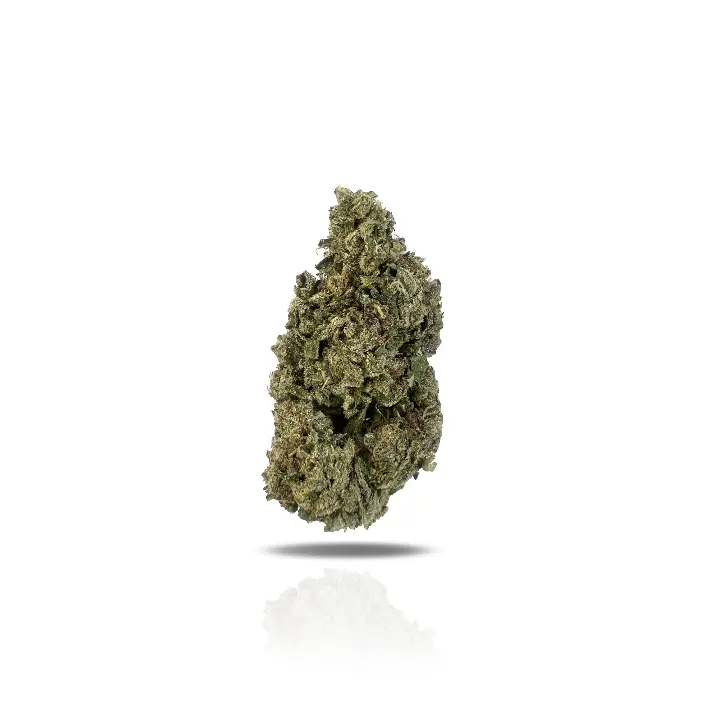 Ice Queen THCa Flower (Indoor) (Sativa Hybrid)